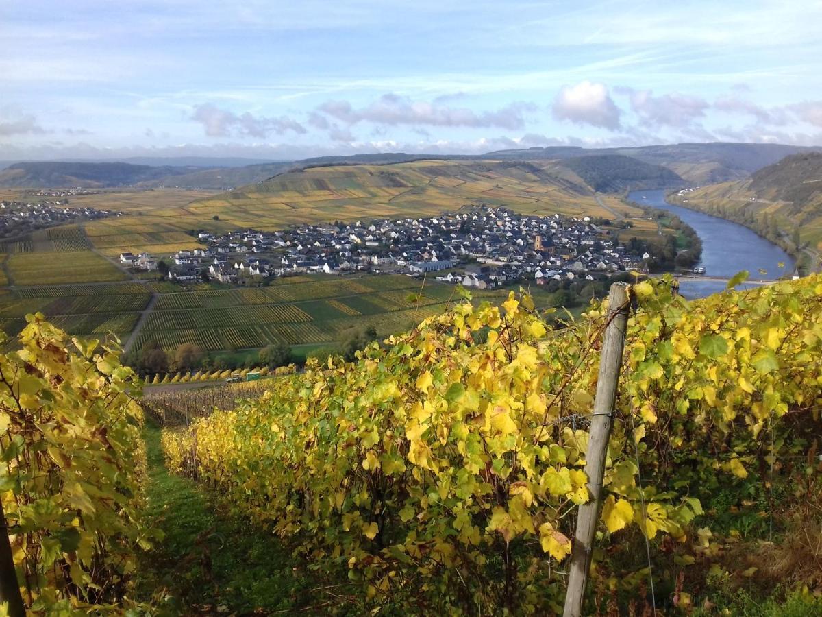 Ferienwohnung Bergblick トリッテンハイム エクステリア 写真